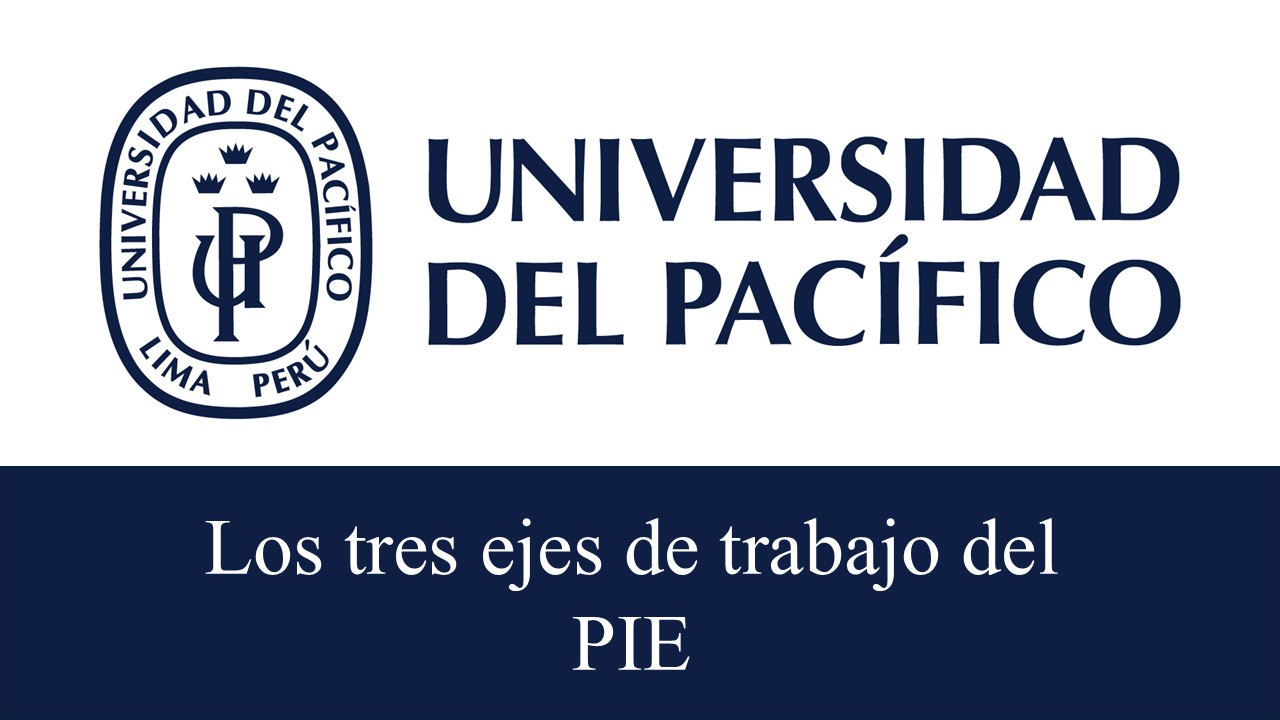 Los tres ejes de trabajo del PIE: Fortaleciendo la calidad académica en las universidades públicas del Perú